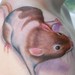 Tattoos - Her pet rat - 46696